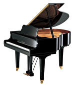 پیانو آکوستیک رویال یاماها -    GB1K  pe