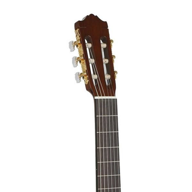 گیتار کلاسیک مدل C70
