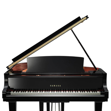 پیانو آکوستیک رویال یاماها مدل C1X PE