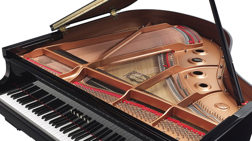پیانو آکوستیک رویال یاماها مدل C1X PE